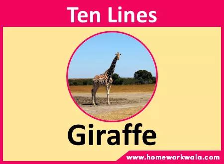 what do we call giraffe in hindi